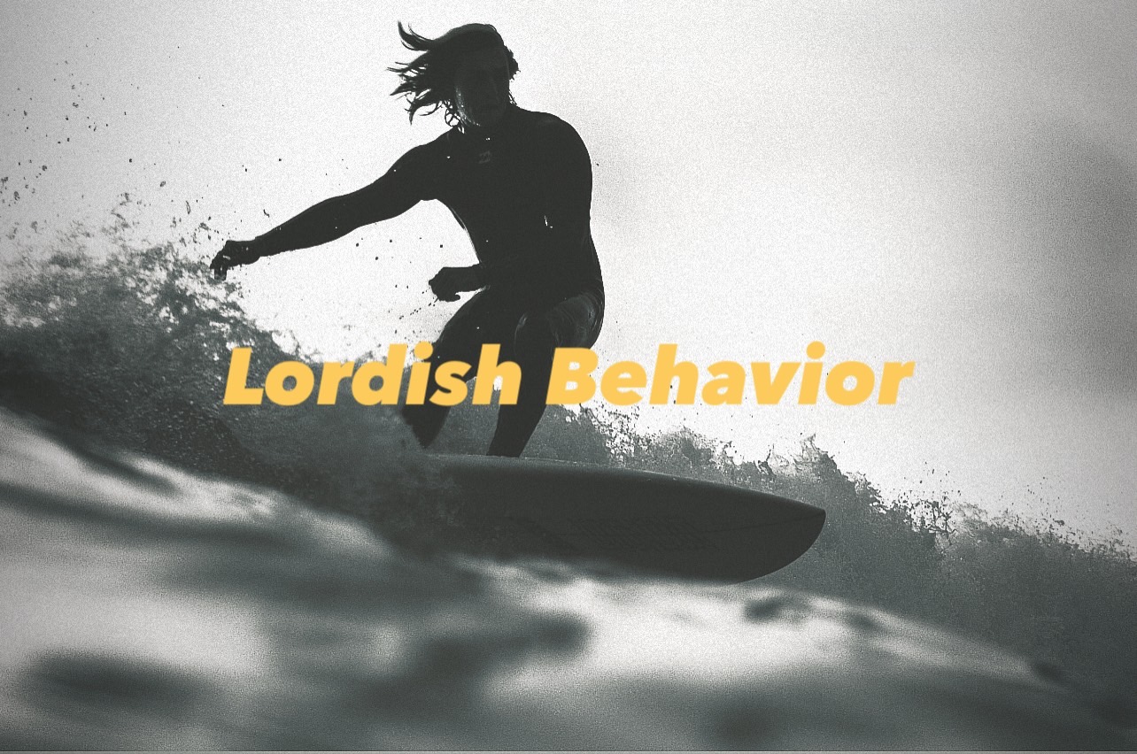 Lordish Behavior (ローディッシュビヘイビア) タッパー L-